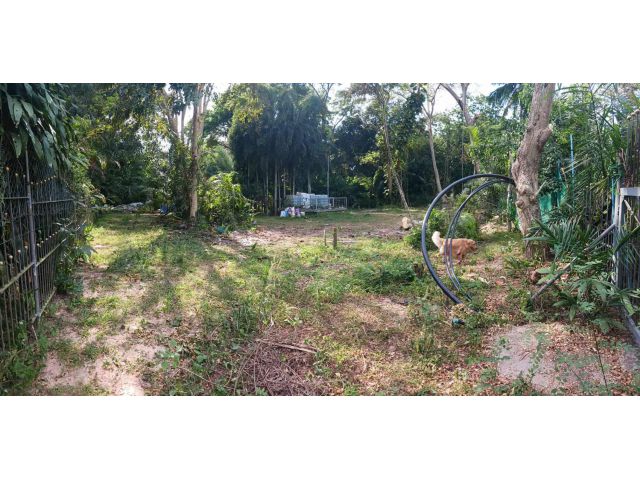 ขายถูกมาก!! ที่ดิน 291.5 ตร.ว. ทำเลทอง อ.บางละมุง จ.ชลบุรี ใกล้มอเตอร์เวย์ มาบประชัน หาดพัทยา สยามคันทรีคลับ