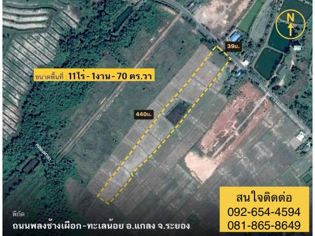 ที่ดิน11ไร่ ราคาถูก ทำเลดีติดถนน อำเภอแกลง ระยอง