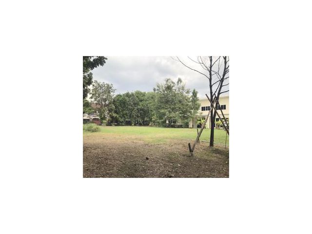 ที่ดินเปล่า วิภาวดี 41 (ดอนเมือง)