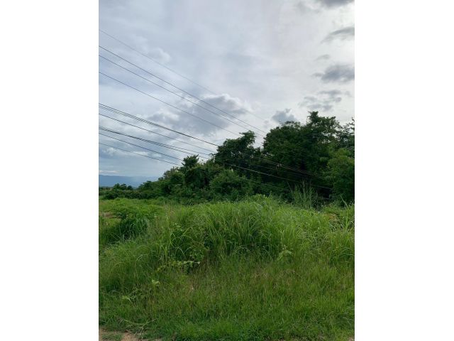 ขายที่ดิน 6-0-10 ไร่ ติดถนนดำ ใกล้ที่ว่าการอำเภอ-โรงพยาบาล ราคาเพียง 2.5 ล้าน