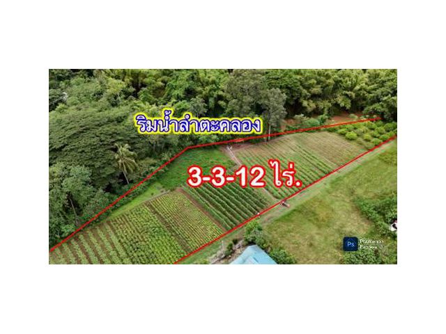 ที่ดินติดริมน้ำวิวเขาปากช่อง.( 3-3-12 ไร่.)( 5,500 บ./ตร.วา )  | ( น.ส.3ก ) หายาก ราคาพิเศษ!! @ หลังสถานีรถไฟความเร็วสูง
