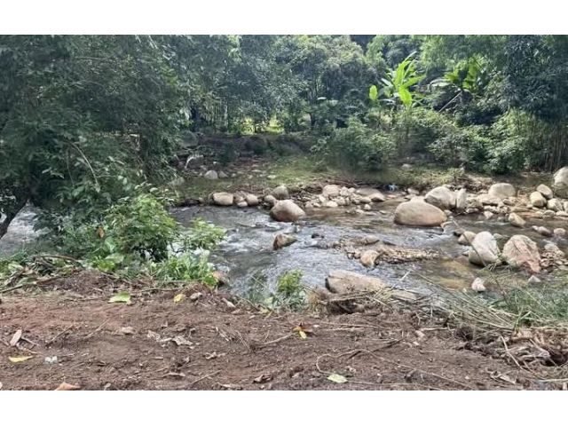 ขายที่ดินติดถนนติดลำธารน้ำบ้านปางแฟนดอยสะเก็ต