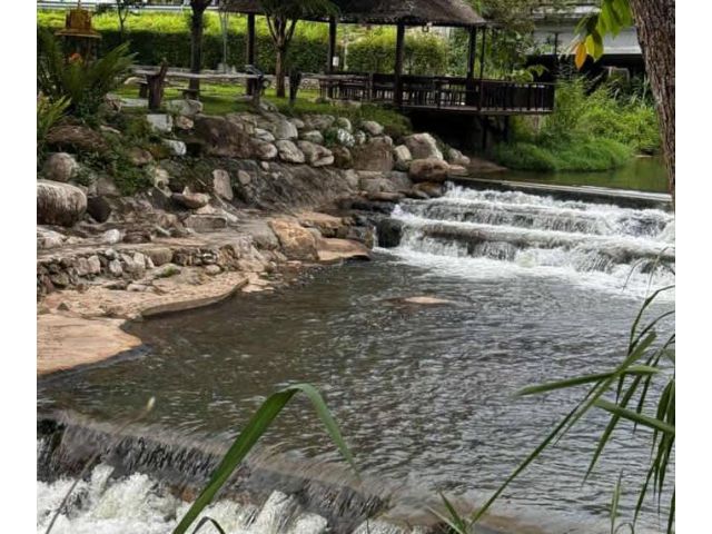 ขายที่ดินตำบลป่าเมี่ยงดอยสะเก็ตติดลำธารน้ำโฉนด