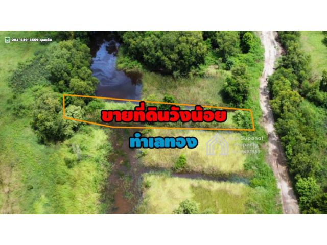 ขายที่ดิน เนื้อที่ 200 ตร.ว. ต.ลำตาเสา อ.วังน้อย จ.พระนครศรีอยุธยา