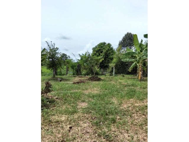 ต้องการขายที่ดินบ้านหนองไฮ  ตำบลพระลับ เนื้อที่ 2 งาน