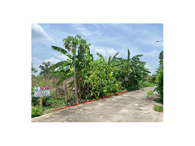 ขายที่ดินเลียบวารี59 หนองจอก เนื้อที่ 90 ตร.ว ทำเลดี เหมาะปลูกบ้านพักอาศัย โกดัง