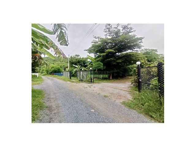 ขายที่ดิน 1 ไร่ ดอนคา อู่ทอง สุพรรณบุรี แปลงสวย ทำเลดี เหมาะปลูกบ้านพักอาศัย สวนเกษตร น้ำไฟพร้อมทำประโยชน์