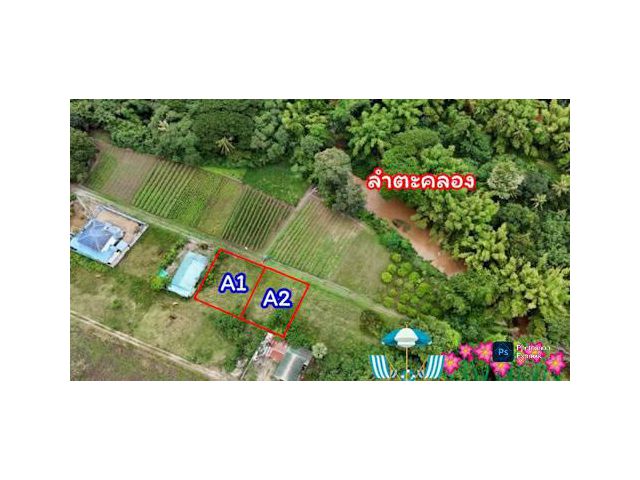 ขายที่ดินหลังสถานีรถไฟความเร็วสูงปากช่อง บ.เขาเสด็จ / ท่างอย  | ใกล้ริมน้ำ & วิวเขา ( น.ส.3ก ) ราคาพิเศษ!!