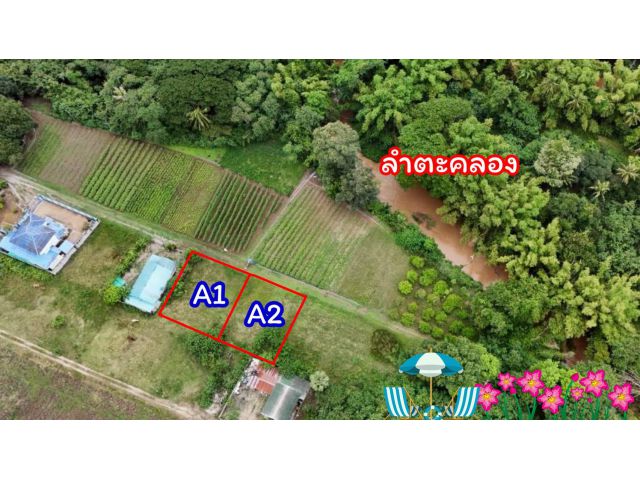 ขายที่ดินหลังสถานีรถไฟความเร็วสูงปากช่อง บ.เขาเสด็จ / ท่างอย  | ใกล้ริมน้ำ & วิวเขา ( น.ส.3ก ) ราคาพิเศษ!!