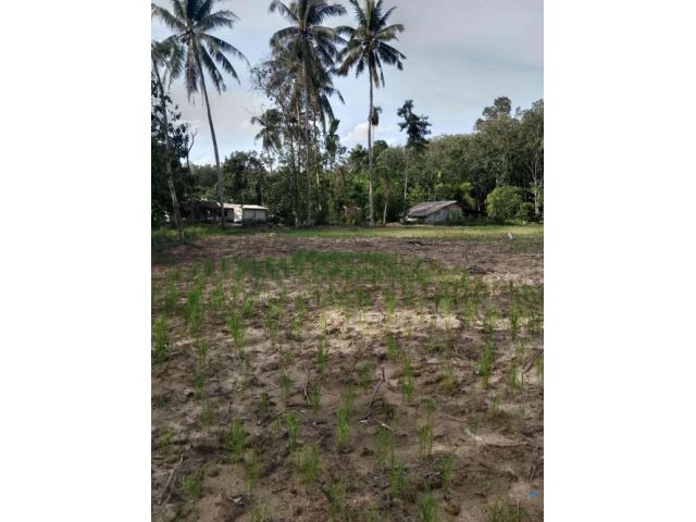 เจ้าของขายร้อนขายที่ดินเปล่า จำนวน 1 ไร่ 3 งาน 22 ตรว.