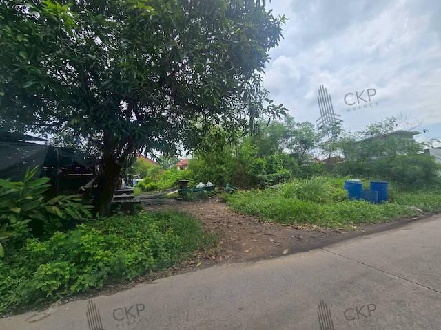 ที่ดินเปล่า ในซอยปั้นทองนิเวศน์ 1 ลำลูกกา-ปทุม ขนาด 200 ตร.วา ใกล้ถนนลำลูกกา ใกล้ห้างสรรพสินค้า