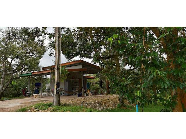 ที่ดินพร้อมสวนทุเรียน ขนาด 4 ไร่ 127.1 ตร.วา สามารถดำเนินกิจการต่อได้ทันที ต.สองสลึง อ.แกลง ระยอง