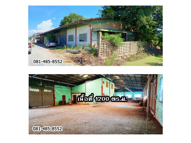 ขายโกดังโรงงาน บางเลน นครปฐม 1200 ตร.ม.