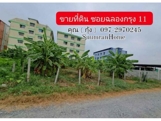 ขายที่ดิน ซอยฉลองกรุง 11 แขวงลำปลาทิว เขตลาดกระบัง