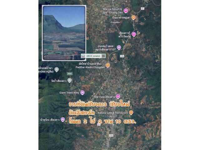 ขายที่ดินเชียงดาว เชียงใหม่ ติดรีสอร์ท 2 ไร่ 2 งาน 10 ตร