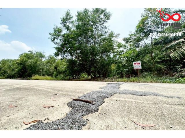 ขายที่ดินหมู่บ้านสวนศรีปทุม เนื้อที่ 63 ตารางวา หนองเสือ ปทุมธานี