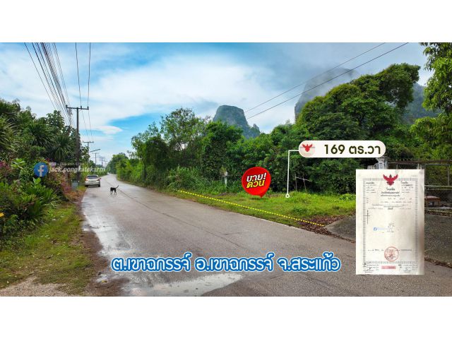ที่สร้างบ้านวิวเขา โฉนด 169 ตร.วา ใกล้ตลาดทองคำ ตลาดเขาฉกรรจ์ ราคาต่อรองได้