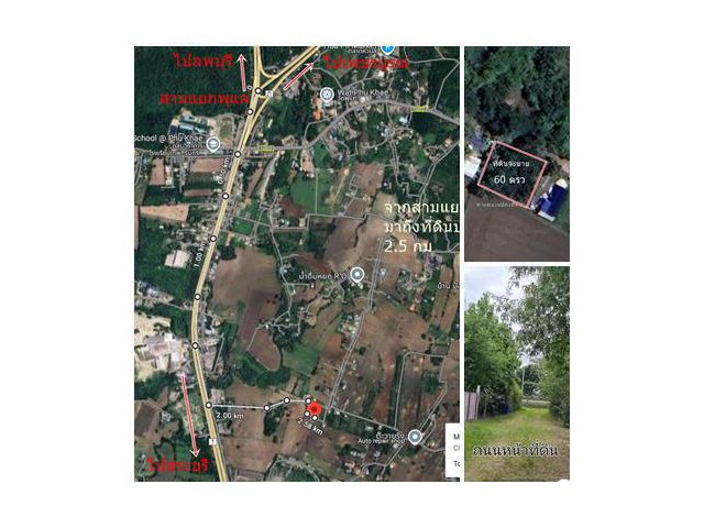 ขายที่ดิน 60 ตรว.อ.เฉลิมพระเกียรติ์ ห่างถนนพหลฯ700เมตรพร้อมปลูกบ้านขาย1.8 แสน