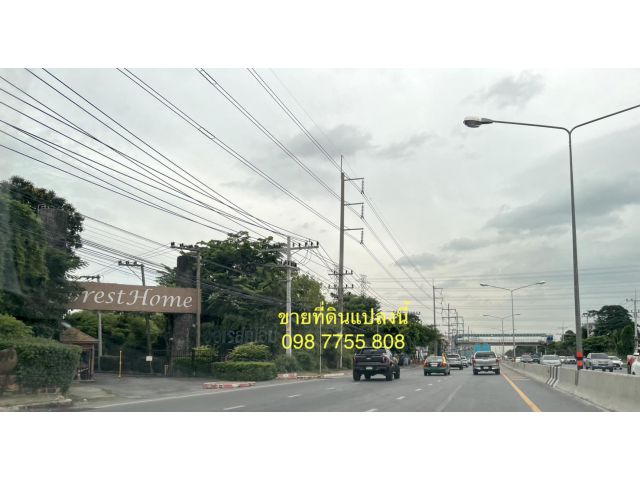 ขายที่ดินติดถนนรังสิต นครนายก 098 7755 808