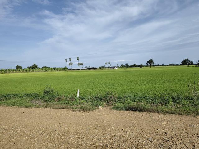 ขาย ที่ดินสวยมาก ติดคลองกะเสียว หนองหญ้าไซ จ.สุพรรณบุรี เนื้อที่ 4-3-12ไร่ ไร่ละ 190,000 บาท