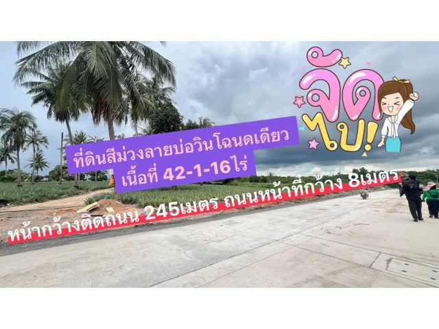 ที่ดินสีม่วงลายโฉนดเดียวบ่อวิน เนื้อที่ 42-1-16ไร่ ไร่ละ 4ล้าน ต.บ่อวิน อ.ศรีราชา จ.ชลบุรี ที่ดินติดถนนหน้ากว้าง 245เมตร