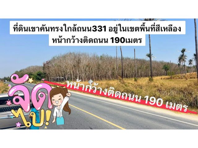 ที่ดินเขาคันทรงใกล้ถนน331 เนื้อที่ 49-3-46ไร่ ไร่ละ 3.5ล้าน  ต.เขาคันทรง อ.ศรีราชา จ.ชลบุรี ห่างถนน331 เพียง 800เมตร