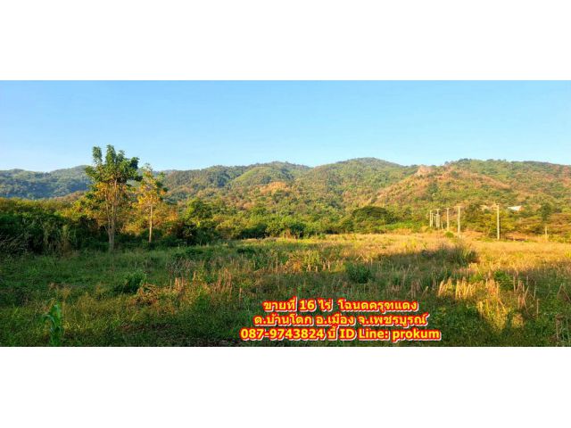 ขายที่ดินเพชรบูรณ์  16 ไร่ เห็นวิวภูเขาสวยๆ ต.บ้านโตก
