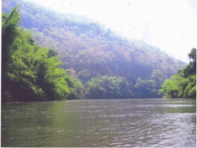 ที่ดินติดแม่น้ำแควน้อย13ไร่ จ.กาญจนบุรี ใกล้สถานีรถไฟวังโพ.
