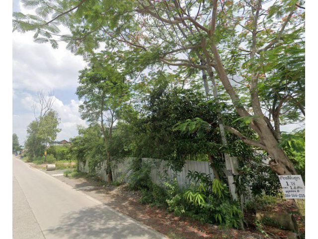 ขายที่ดินคลองห้าถมแล้ว 200 ตรว. ซอยโรงเรียนทีปังกรวิทยาพัฒน์ ใกล้ถนนเส้น3010-300เมตร อ.คลองหลวง ปทุมธานี