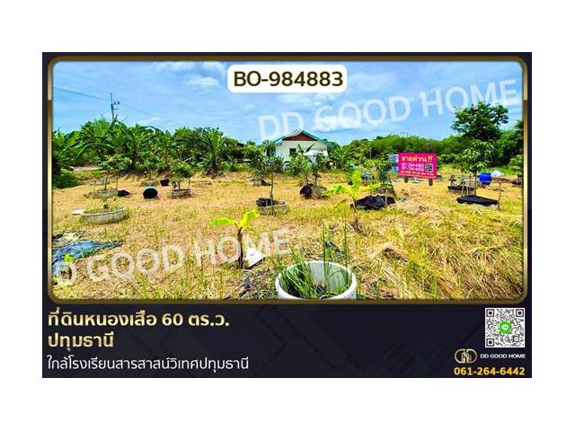 BO-984883 ที่ดินหนองเสือ 60 ตร.ว. ปทุมธานี ใกล้โรงเรียนสารสาสน์วิเทศปทุมธานี