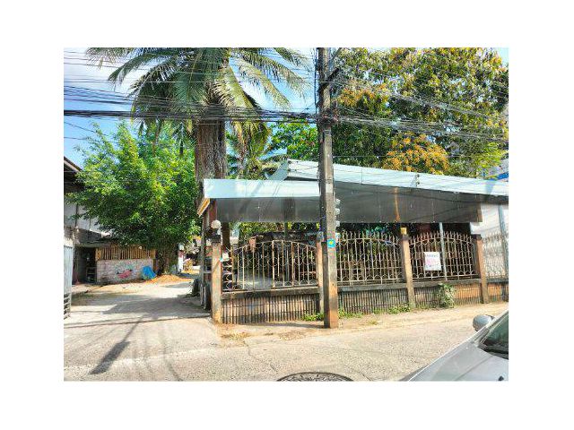 ขายที่ดิน 230 ตรว. พร้อมสิ่งปลูกสร้าง ถนนนกแก้ว ซอยทุ่งเศษฐี ต.กุดป่อง อ.เมือง จ.เลย