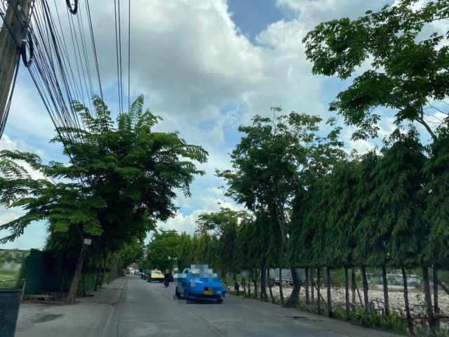 R68-060ขายที่ดินอ่อนนุช/สุขุมวิท77 ทำเลสวย หน้ากว้าง  -เนื้อที่ 20-2-51 ไร่ (8,251 ตร.ว.) -หน้ากว้างติดถนนซอย 194 เมตร ลึก 132 เมตร -เข้าซอยอ่