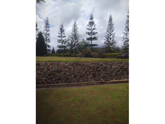 ด่วนที่สุด ขายไร่กาแฟ โรงคั่ว ร้านอาหาร คาเฟ่ ที่พัก เนื้อที่ 96 ไร่