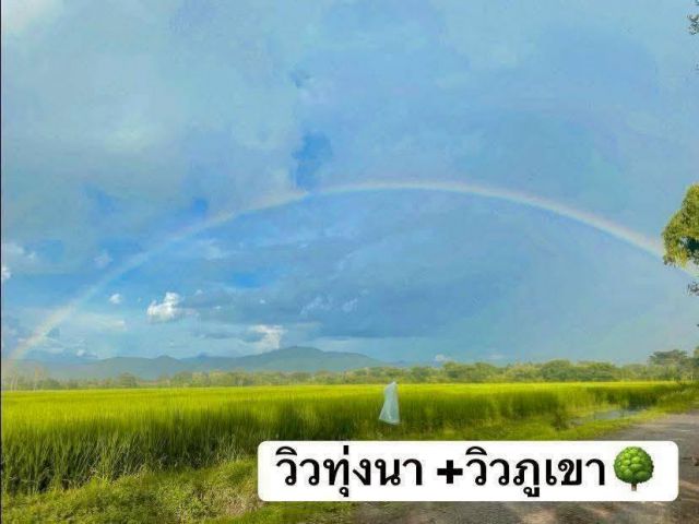 ขายที่ดินตำบลสันกำแพงวิวภูเขาน้ำนาเขาครบพร้อมโอน
