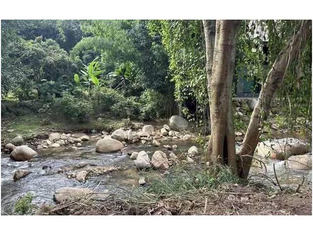 ขายที่ดินติดลำธารน้ำบ้านปางแฟนพร้อมโอน