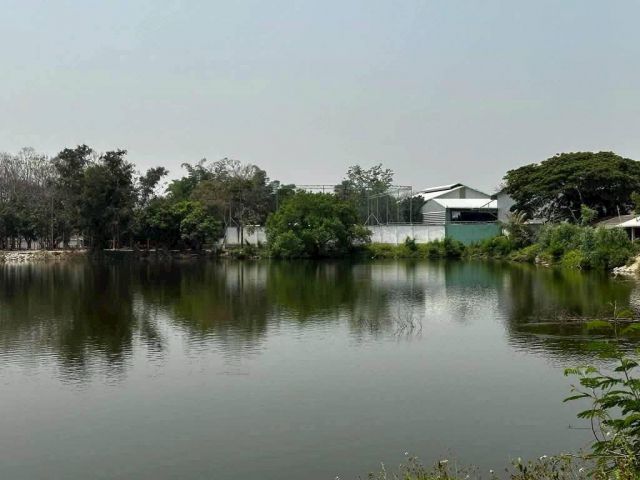 ขายที่ดินหน้าติดถนนหลังวิวบึงสระน้ำใกล้มหาวิทยาลัยแม่โจ้