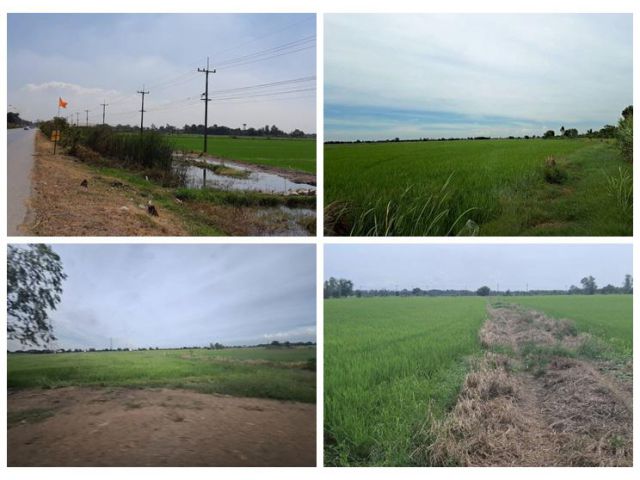 ขายที่ดินอยุธยา แปลงใหญ่สวย 68 ไร่ ติดถนนสาย 347 ปทุมธานี-บางปะหัน อ.บางประอิน กม. 29-30 โทร 095-8299247