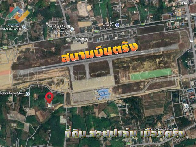 ที่ดิน โคกหล่อ เมืองตรัง ตรัง สวนปาล์ม ใกล้สนามบิน ราคาถูก
