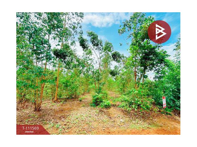 ขายที่ดิน โฉนดครุฑแดง เนื้อที่ 14 ไร่ 3 งาน 33.2 ตร.วา ปากท่อ ราชบุรี