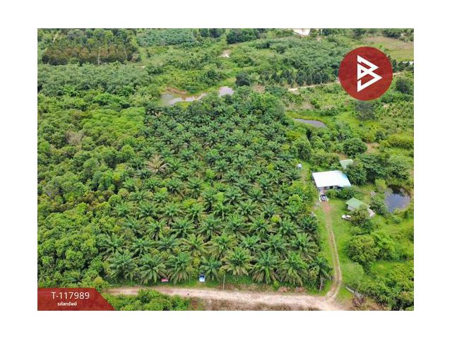 ขายที่ดิน เนื้อที่ 10 ไร่ 2 งาน 5 ตร.วา เนินหอม ปราจีนบุรี