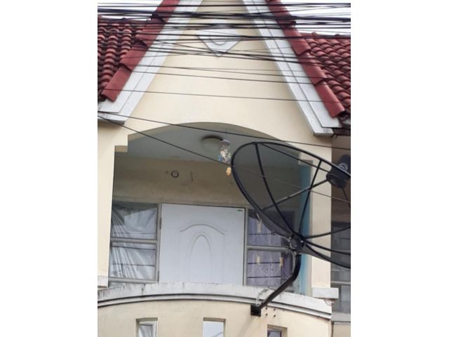 ขายด่วน ราคาถูกๆ ทาวน์เฮาส์สมุทรสาคร ในซอยพันท้ายนรสิงห์ราคา950000บาท