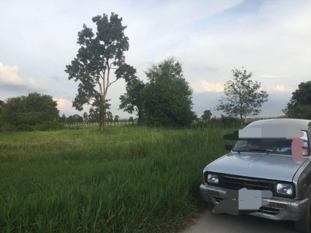 ขายที่ดิน 1 ไร่ หน่องสาหร่าย