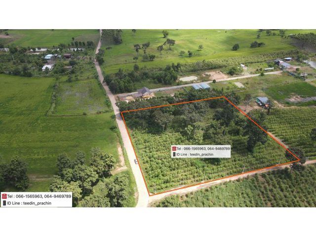 ขายที่ทำบ้านสวน บ้านพักอาศัย มองเห็นวิวเขา ที่มีต้นไม้ใหญ่