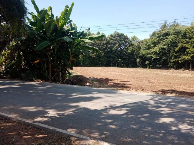 ขายที่ดิน โฉนดเลขที่ 20654 เนื้อที่ 2-3-40 ไร่