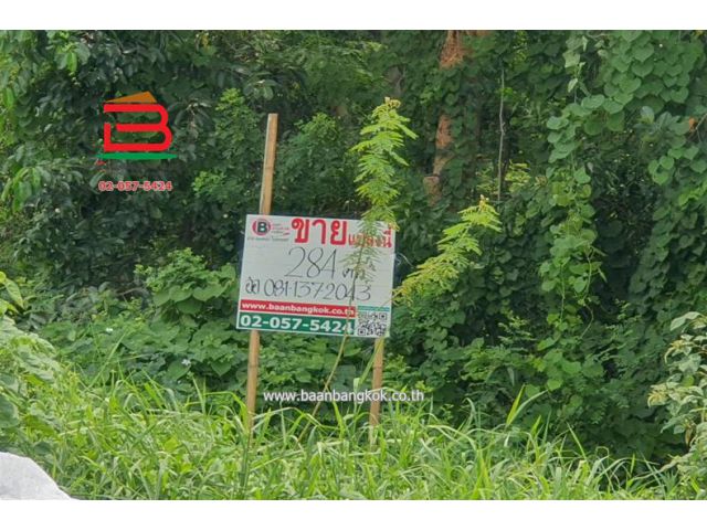ที่ดินเปล่า หมู่บ้าน ฟีนิกซ์ ปาร์ค ซอยไอยรา 28 เนื้อที่ 284 ตรว. ถนนไอยรา ตำบลคลองสอง อำเภอคลองหลวง จังหวัดปทุมธานี