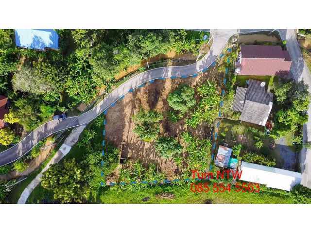 C824 ขายที่ดิน ดอยสะเก็ด ที่ดิน 291 ตร.ว เชียงใหม่ | Land 291 sq.wah Choeng Doi in Doi Saket for Sale