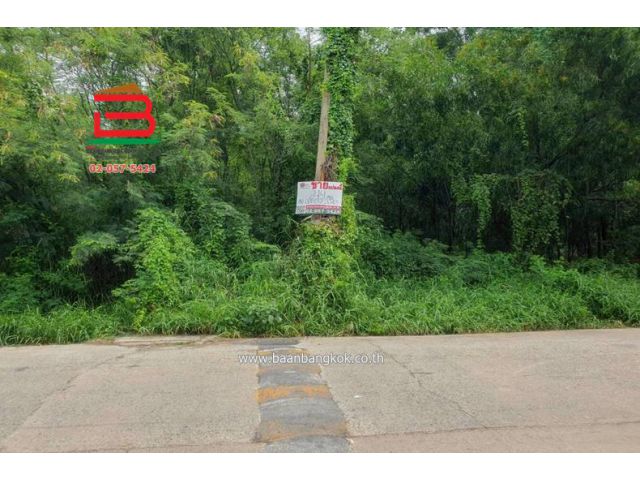 ที่ดินเปล่า หมู่บ้าน ฟีนิกซ์ ปาร์ค ซอยไอยรา 28 เนื้อที่ 249 ตรว. ถนนไอยรา ตำบลคลองสอง อำเภอคลองหลวง จังหวัดปทุมธานี