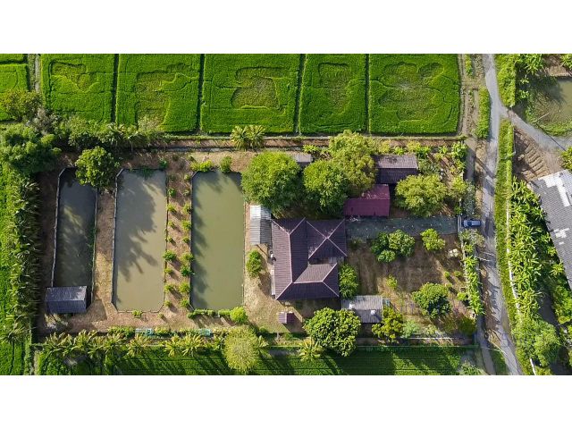 C825 ขายบ้าน ดอยสะเก็ด บ้านกลางทุ่ง วิวสวย บนที่ดิน 3 ไร่ เชียงใหม่ |Isolated House on 3 rai Lot in Doi Saket for Sale