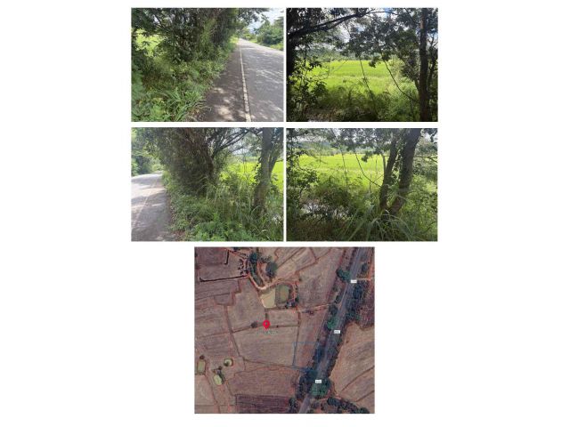 ขายที่ดิน