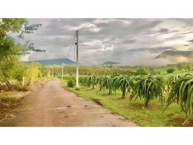 ที่ดินวิวสวย อ.ภูเรือ แบ่งขายตั้งแต่ 2 ไร่ๆละ490000 เหมาะกับบ้านพักตากอากาศมาก